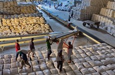 Filipinas pide al sector privado importar arroz barato