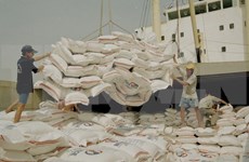 Vietnam y Bangladesh amplían acuerdo comercial de compraventa de arroz