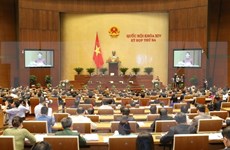 Electores vietnamitas muestran interés en temas debatidos en sesiones parlamentarias