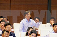 Parlamento vietnamita continúa debates sobre proyectos legales  