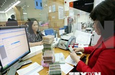 Diputados vietnamitas debaten medidas para solucionar deudas malas