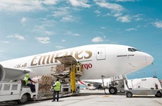 Aerolínea Emirates impulsa exportaciones de frutas vietnamitas a EAU