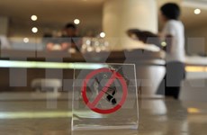 Vietnam avanza en lucha contra el tabaquismo  
