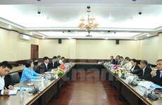 Vietnam y Laos celebran segunda consulta política