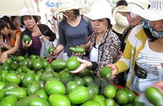 Inauguran en Vietnam festival de frutas de provincias sureñas