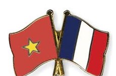 Vietnam y Francia comparten experiencias en el mantenimiento de la paz 