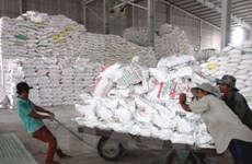 Precio de exportación para el arroz de Vietnam alcanza su nivel máximo de último tres años