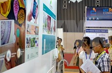 Concluyen exposiciones internacionales sobre TI en Ciudad Ho Chi Minh