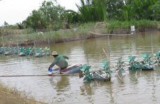 Vietnam acelera la modernización de nuevas zonas rurales