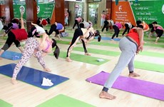 Día Internacional del Yoga se celebra en nueve localidades vietnamitas 
