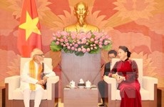 Vietnam e India fortalecen solidaridad