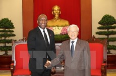 Vietnam concede importancia a cooperación con Haití en múltiples canales