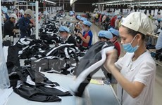 Buscan en Vietnam impulsar desarrollo del sector privado  