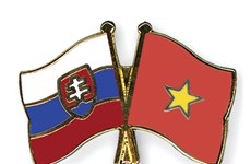 Vietnam y Eslovaquia debaten esquema de cooperación económica