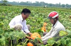 Hanoi moviliza fondos para construcción de nuevas zonas rurales