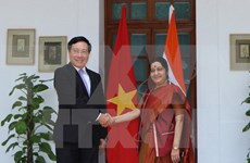  Vietnam y la India buscan profundizar vínculos multifacéticos