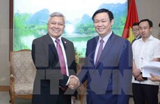 Vietnam por profundizar lazos con Indonesia, Nueva Zelanda y Australia 
