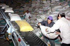 Filipinas realizará licitación para comprar 250 mil toneladas de arroz 