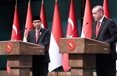 Indonesia y Turquía comienzan las negociaciones de CEPA