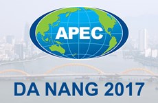 Da Nang perfecciona infraestructura para APEC 2017