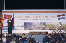 Enfrentamiento a cambio climático: sector potencial para colaboración Vietnam- Países Bajos 