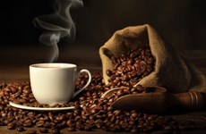 Valor de exportación de anacardo y café de Vietnam registra alto crecimiento 