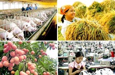Localidades vietnamitas orientan tareas socioeconómicaspara segundo semestre de 2017
