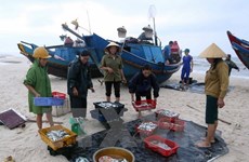 Aguas de la costa central de Vietnam son seguras, afirman autoridades  