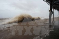 Quang Ninh suspende operación de barcos turísticos debido a tifón Talas
