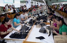 Estados Unidos es mayor mercado receptor de calzado de Vietnam 