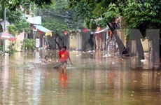 El tifón Talas deja siete muertos y al menos cuatro desaparecidos en Vietnam