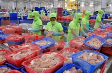 Vietnam reporta notable crecimiento de envíos de productos acuícolas a Países Bajos