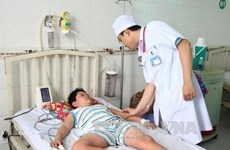 Incrementan casos de dengue en región vietnamita del Delta del Río Mekong