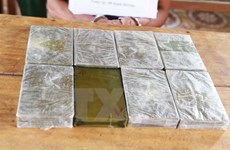 Decomisan en frontera Vietnam- Laos gran cantidad de heroína
