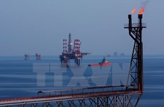 Exportación petrolera: sector clave de economía vietnamita