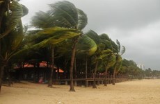 ​ Vietnam se prepara ante llegada de tifón Sonca