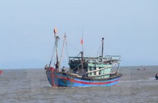 Vietnam protesta contra tratos inhumanos a pesadores nacionales