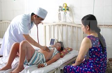 Alerta en Vietnam por propagación del dengue