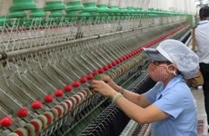 Alemania impulsa proyecto de uso efectivo de energía en empresas vietnamitas 
