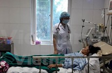 Aumentan casos de dengue en Hanoi
