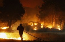 Decenas de indonesios hospitalizados por humo de incendio forestal