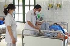 Premier vietnamita pide intensificar acciones de saneamiento para prevenir dengue  