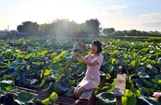 Reportaje: Ninh Xa, destino apacible para disfrutar el verano  