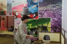 En Da Nang festival cultural Vietnam-Japón 