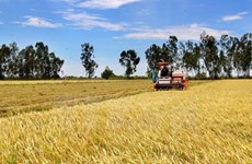 Vietnam y Mozambique poseen alto potencial en cooperación agrícola 