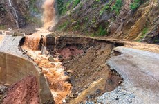Desastres naturales provocan pérdidas humanas y materiales en Vietnam  