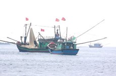 Japón respalda al sector pesquero de Vietnam