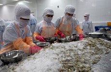 Estados Unidos ajusta impuestos antidumping sobre camarones vietnamitas