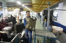 Detectan en Vietnam tráfico ilegal de gelatina de hueso de animal