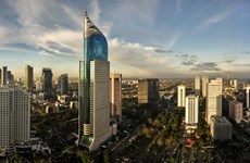 Aumenta inversión extranjera directa en Indonesia 